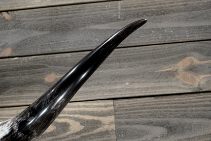 4' 8" Longhorn Wall Mount #361
