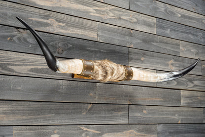 5' 1" Longhorn Wall Mount #383