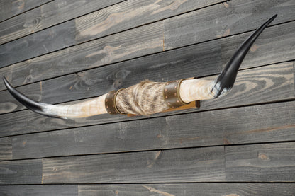 5' 1" Longhorn Wall Mount #383