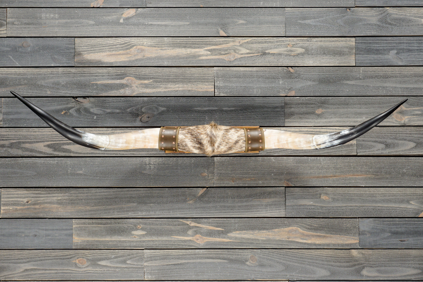 5' 1" Longhorn Wall Mount #383