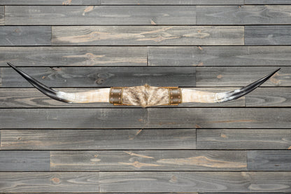 5' 1" Longhorn Wall Mount #383