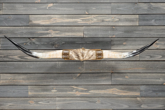 5' 1" Longhorn Wall Mount #383