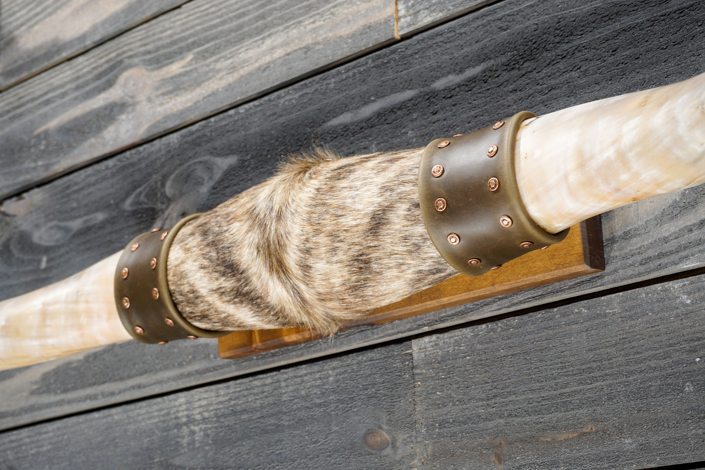 5' 1" Longhorn Wall Mount #383