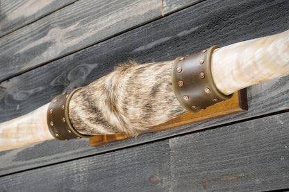 5' 1" Longhorn Wall Mount #383