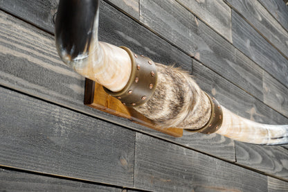 5' 1" Longhorn Wall Mount #383