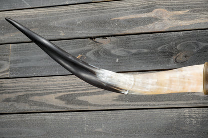 5' 1" Longhorn Wall Mount #383