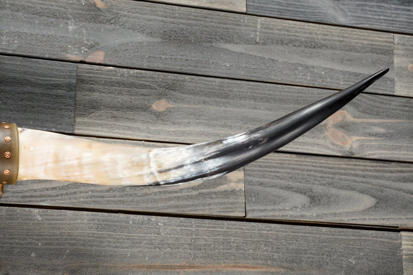 5' 1" Longhorn Wall Mount #383