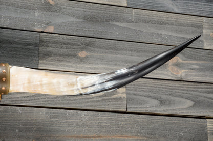 5' 1" Longhorn Wall Mount #383