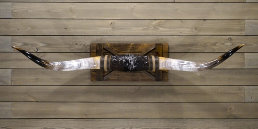 5' 4" Longhorn Wall Mount #249