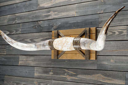 5' 7" Longhorn Wall Mount #372