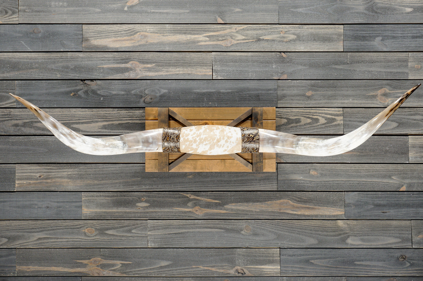 5' 7" Longhorn Wall Mount #372