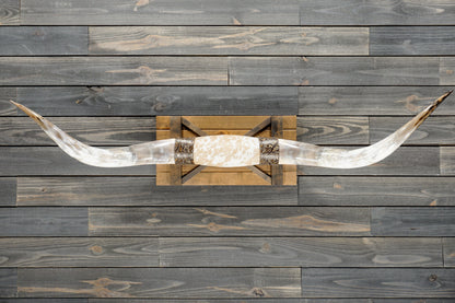 5' 7" Longhorn Wall Mount #372