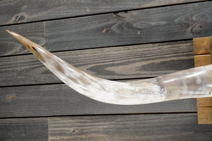 5' 7" Longhorn Wall Mount #372