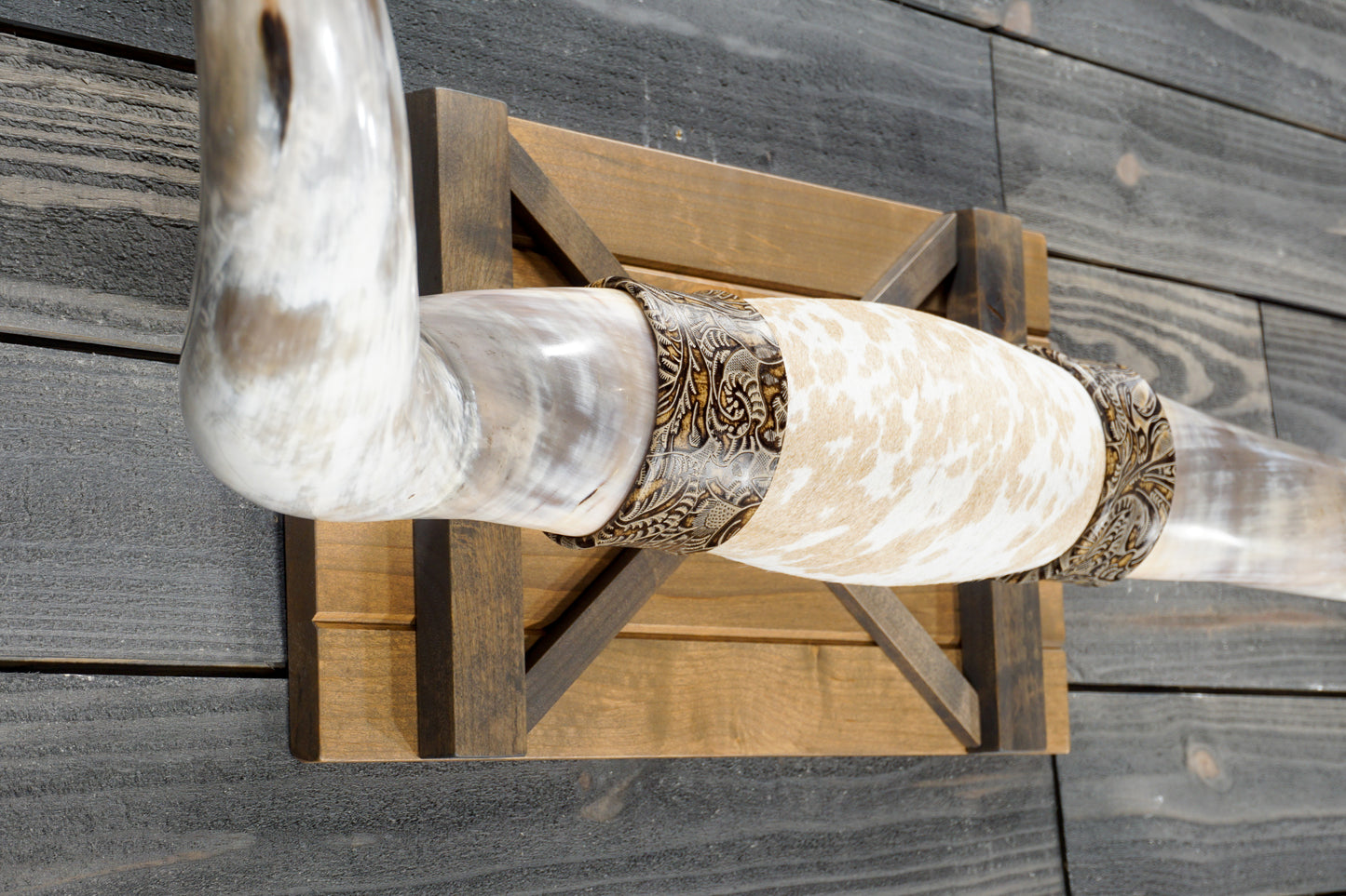 5' 7" Longhorn Wall Mount #372