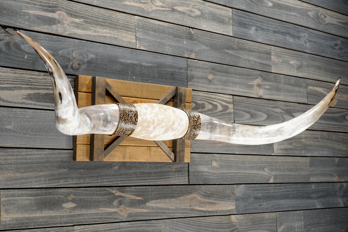 5' 7" Longhorn Wall Mount #372