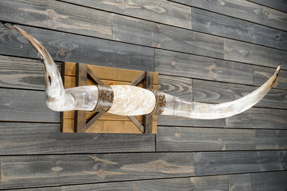 5' 7" Longhorn Wall Mount #372