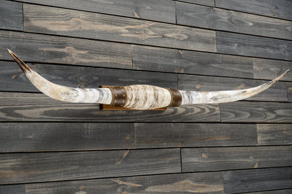 5' 5" Longhorn Wall Mount #312