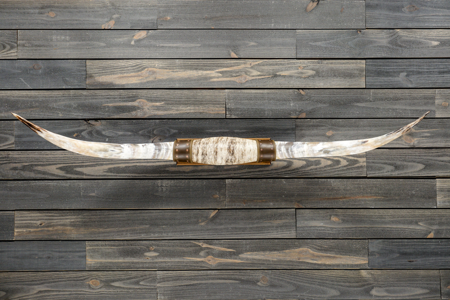 5' 5" Longhorn Wall Mount #312