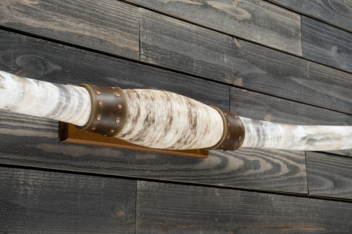 5' 5" Longhorn Wall Mount #312