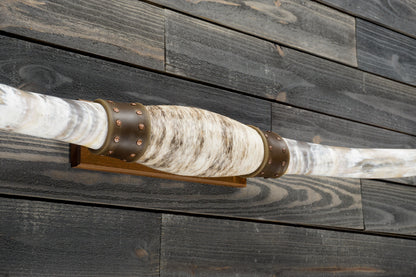 5' 5" Longhorn Wall Mount #312