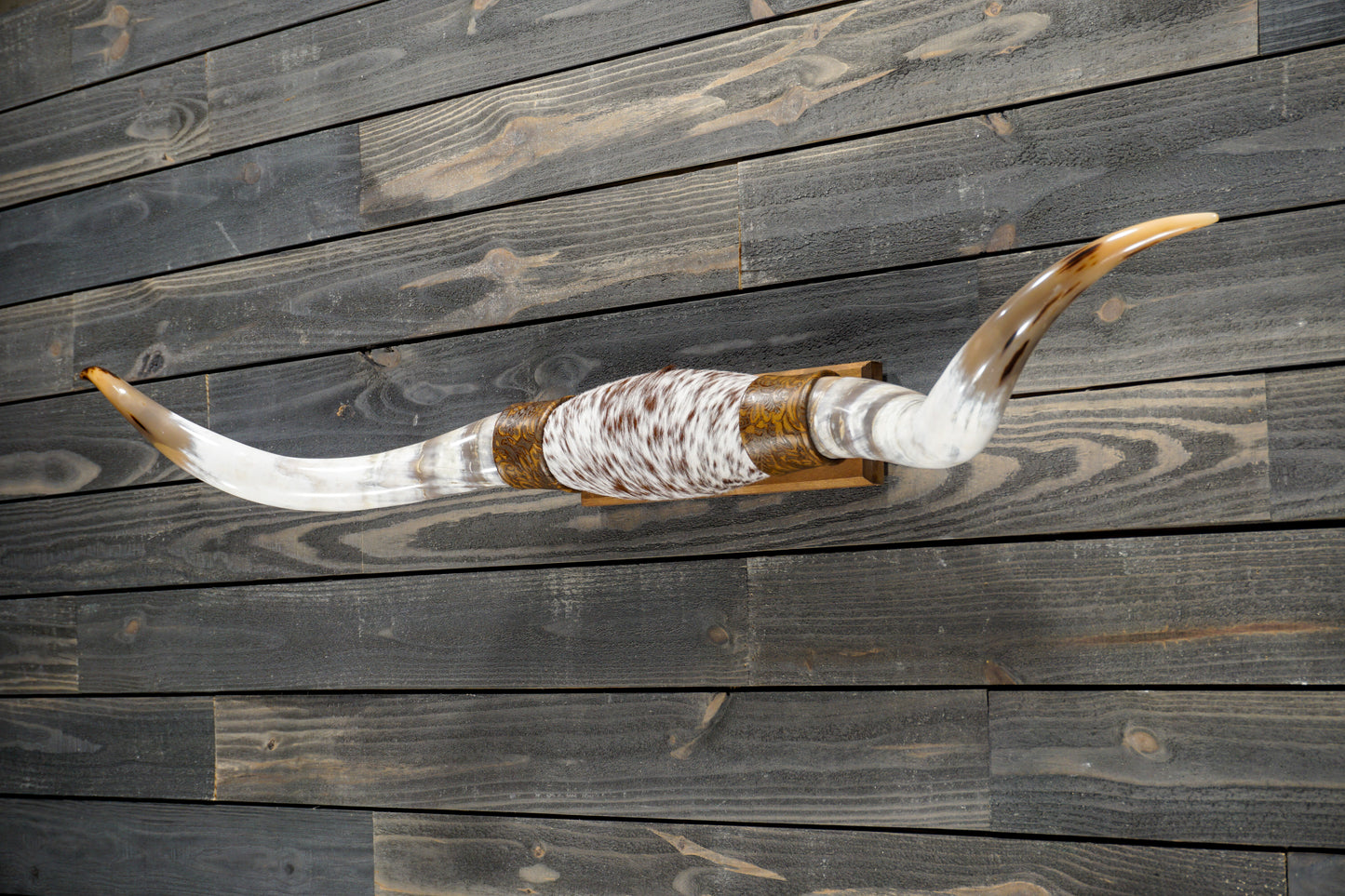 5' 0" Longhorn Wall Mount #269