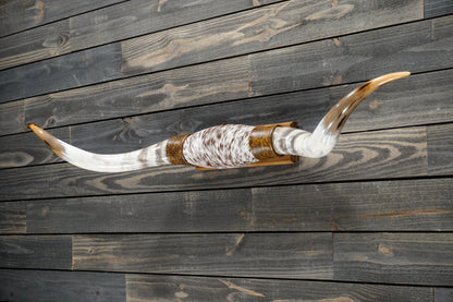5' 0" Longhorn Wall Mount #269