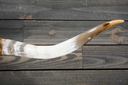 5' 0" Longhorn Wall Mount #269