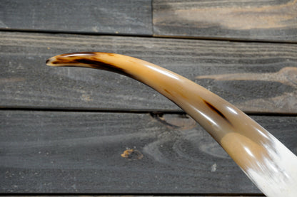 5' 0" Longhorn Wall Mount #269