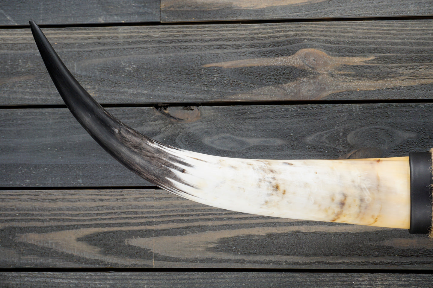 4' 7" Longhorn Wall Mount #293