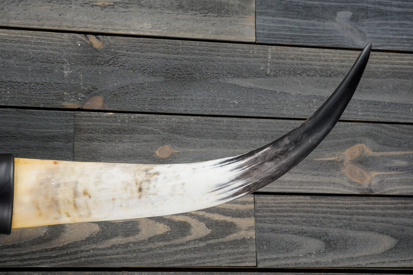 4' 7" Longhorn Wall Mount #293