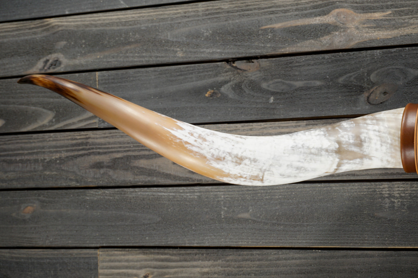 6' 0" Longhorn Wall Mount #236