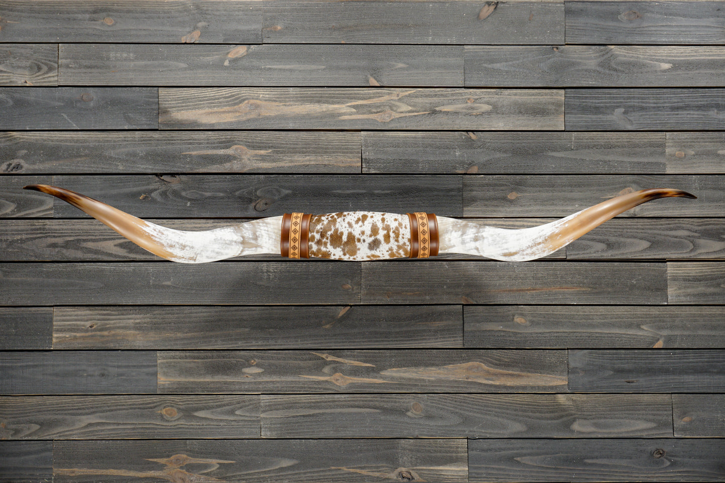 6' 0" Longhorn Wall Mount #236