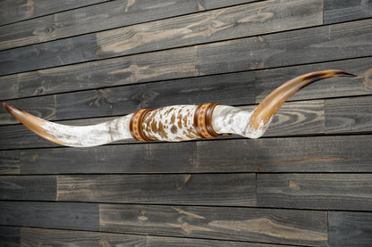6' 0" Longhorn Wall Mount #236