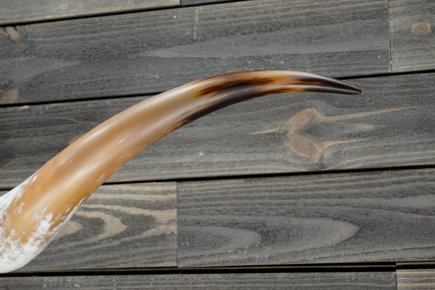 6' 0" Longhorn Wall Mount #236