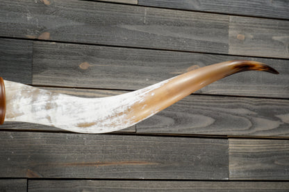 6' 0" Longhorn Wall Mount #236