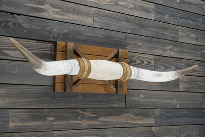 5' 1" Longhorn Wall Mount #345