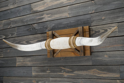 5' 1" Longhorn Wall Mount #345