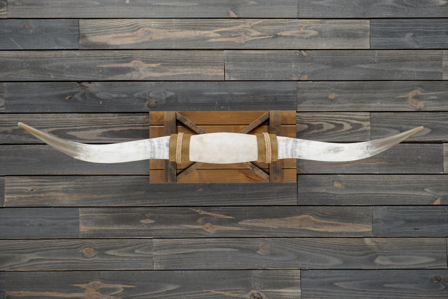 5' 1" Longhorn Wall Mount #345