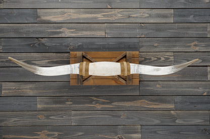 5' 1" Longhorn Wall Mount #345