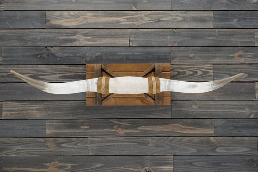 5' 1" Longhorn Wall Mount #345