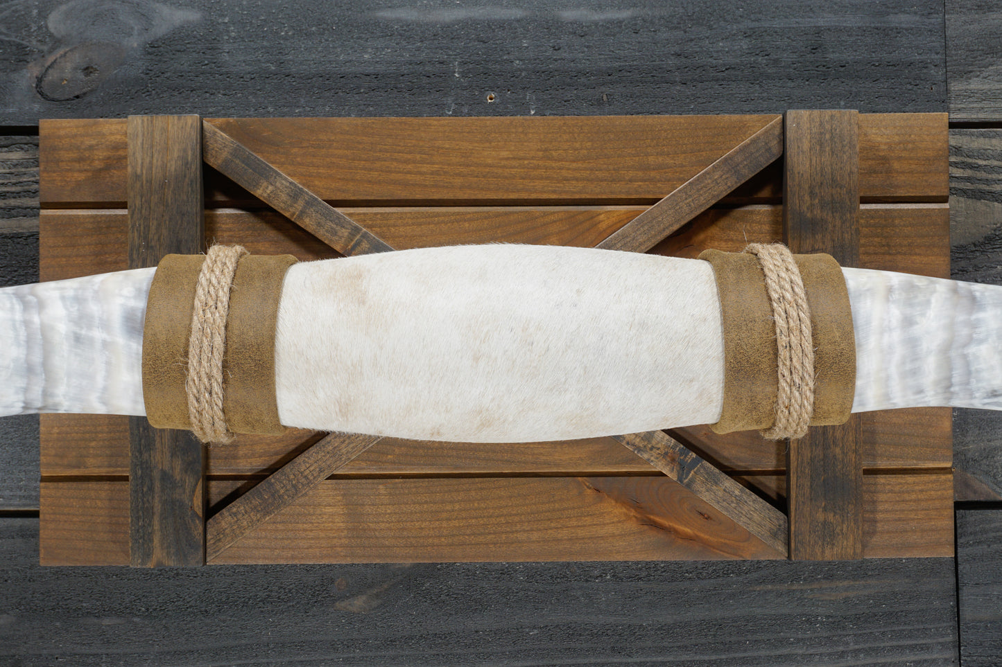 5' 1" Longhorn Wall Mount #345