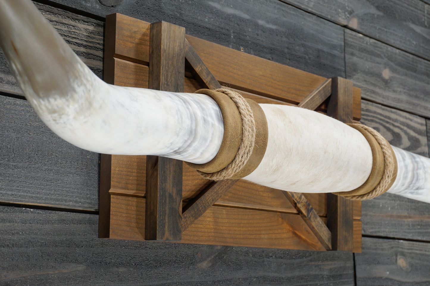 5' 1" Longhorn Wall Mount #345