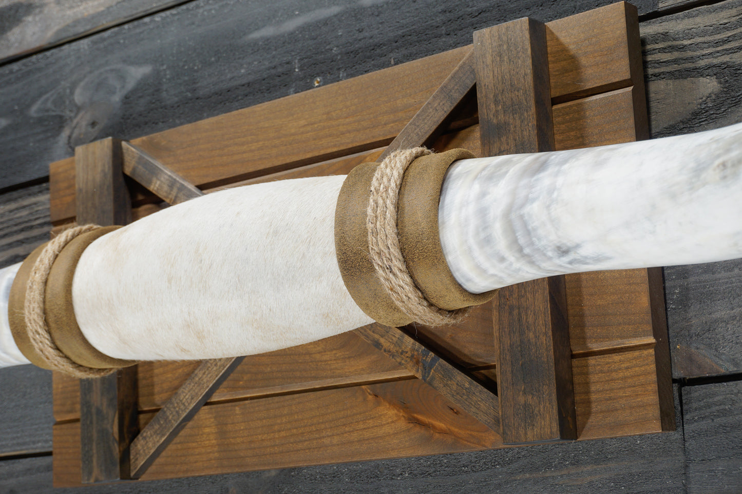 5' 1" Longhorn Wall Mount #345