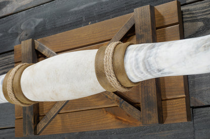 5' 1" Longhorn Wall Mount #345