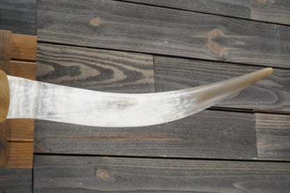 5' 1" Longhorn Wall Mount #345