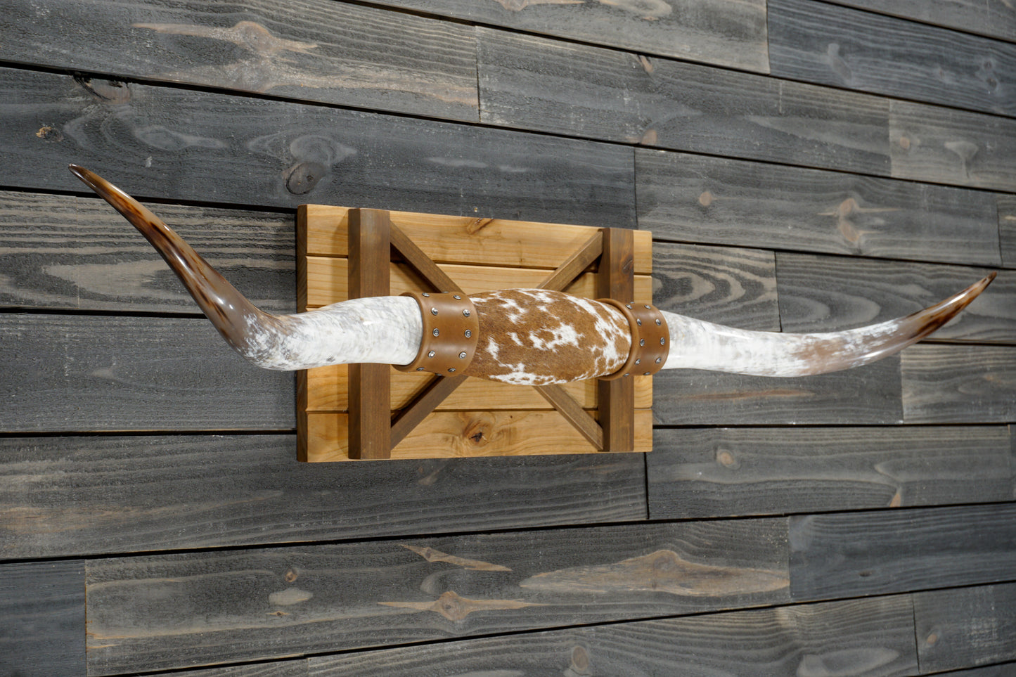 5' 4" Longhorn Wall Mount #355