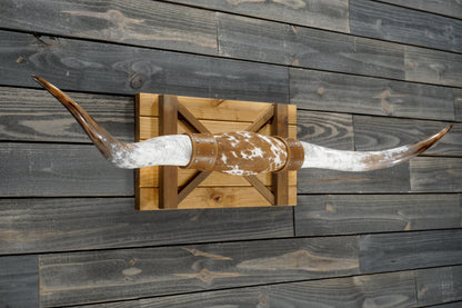 5' 4" Longhorn Wall Mount #355