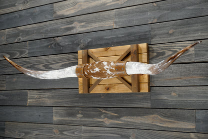5' 4" Longhorn Wall Mount #355
