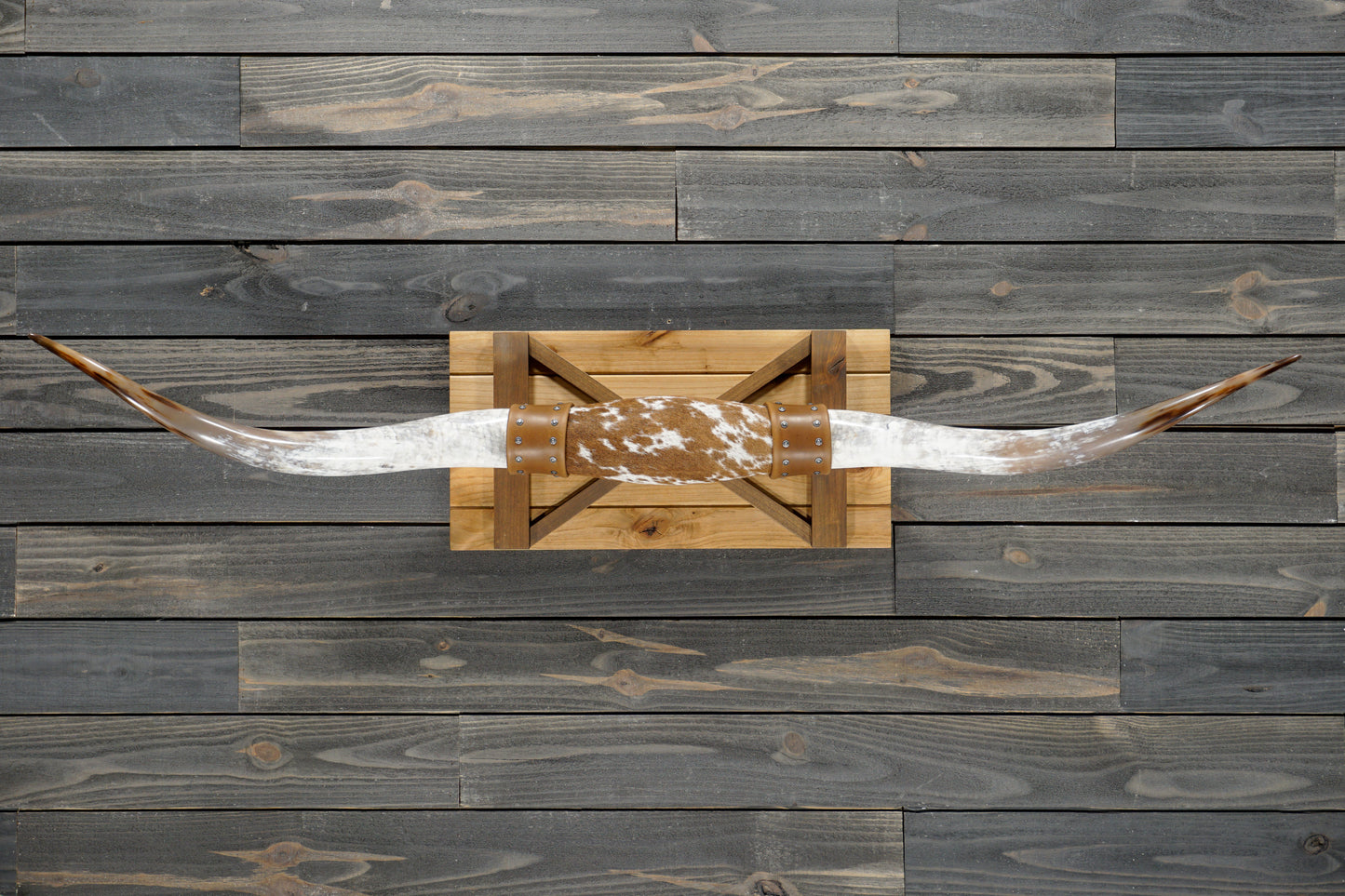 5' 4" Longhorn Wall Mount #355