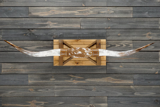5' 4" Longhorn Wall Mount #355